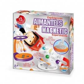 EXPERIMENTE MAGNETICE