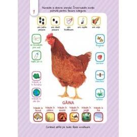 SCRIE ȘI ȘTERGE JUNIOR - ANIMALE