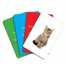 EDUCARD JUNIOR PLUS - GHICITORI