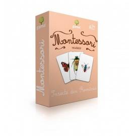 INSECTE DIN ROMÂNIA - VOCABULAR MONTESSORI