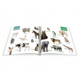 ÎNVĂȚ LIMBA FRANCEZĂ - CĂRȚI EDUCATIVE CU CD