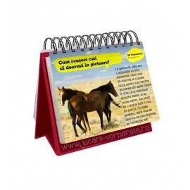 SUNT IMBATABIL - 365 CUM?