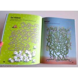 MAREA CARTE CU LABIRINTURI