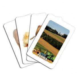 EDUCARD JUNIOR - PRIMELE CUVINTE