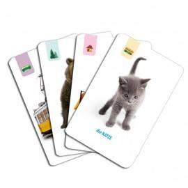 EDUCARD JUNIOR PLUS - LIMBA GERMANĂ