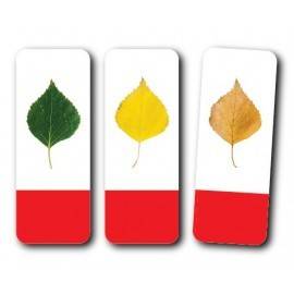 TRIOPUZZLE - SUCCESIUNI LOGICE