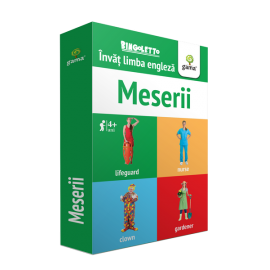 BINGOLETTO - MESERII