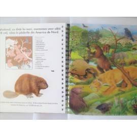 ANIMALE DISPĂRUTE - LANTERNA MAGICĂ