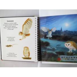 ANIMALE ÎN NOAPTE - LANTERNA MAGICĂ