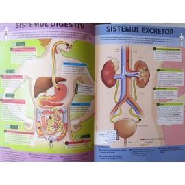 CORPUL UMAN - SUPER IMBATABIL