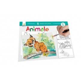 ANIMALE - PRIMELE MELE PICTURI