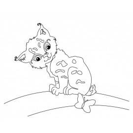 ANIMALE - PRIMELE MELE PICTURI