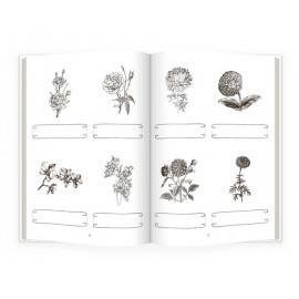 FLORI, ACTIVITĂȚI DE CITIRE - MONTESSORI