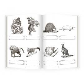 MAMIFERE, ACTIVITĂȚI DE CITIRE - MONTESSORI