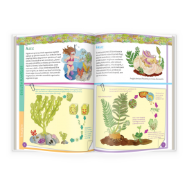 PRIMA MEA CARTE DESPRE NATURĂ ȘI ECOLOGIE