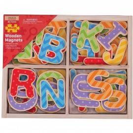 SET 49 LITERE MAGNETICE DE TIPAR