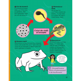 CĂLĂTORIE ÎN LUMEA MINUNATĂ A ANIMALELOR SĂLBATICE