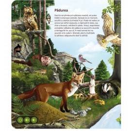 RĂSPUNDEL  ISTEȚEL - CARTE LUMEA ANIMALEOR