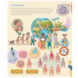 RĂSPUNDEL  ISTEȚEL - CORPUL UMAN