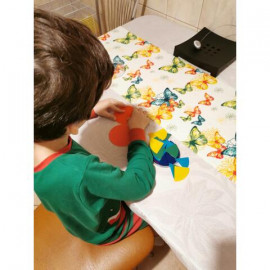 GEOMETRIA FRACȚIILOR - CERCURI