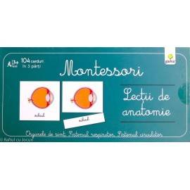 LECȚII DE ANATOMIE - MONTESSORI