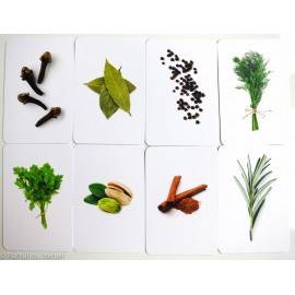 LUMEA PLANTELOR - VOCABULAR MONTESSORI