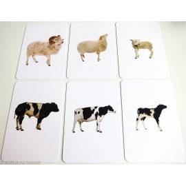 FAMILII DE ANIMALE - VOCABULAR MONTESSORI