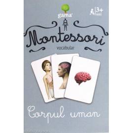 CORPUL UMAN - VOCABULAR MONTESSORI