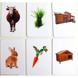 HRANĂ ȘI ADĂPOST - ASOCIERI MONTESSORI