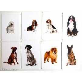 CÂINI ȘI PISICI - VOCABULAR MONTESSORI