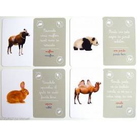 ANIMALE - ASOCIERI MONTESSORI