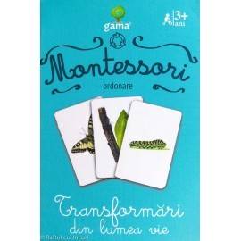 TRANSFORMĂRI DIN LUMEA VIE - ORDONARE MONTESSORI