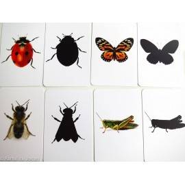 VIEȚUITOARE - RECUNOAȘTERE VIZUALĂ MONTESSORI