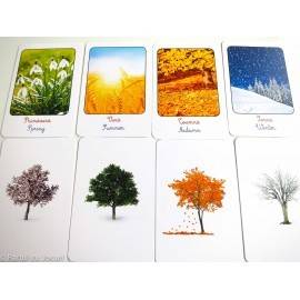 ANOTIMPURI - CLASIFICARE MONTESSORI