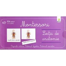 LECȚII DE ANATOMIE - MONTESSORI