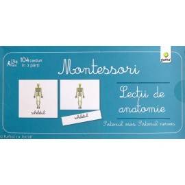 LECȚII DE ANATOMIE - MONTESSORI