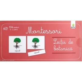 LECȚII DE BOTANICĂ - MONTESSORI