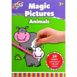 MAGIC PICTURES : RĂZUIM ȘI COLORĂM